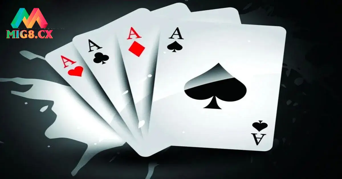 Các bước chơi Catte như thế nào?